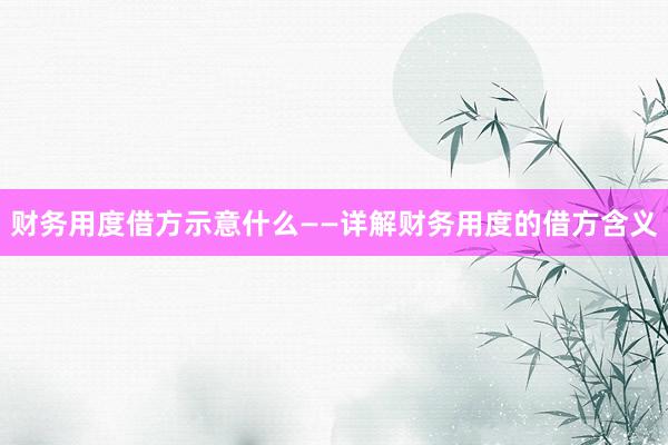 财务用度借方示意什么——详解财务用度的借方含义