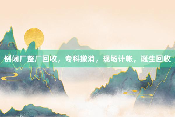 倒闭厂整厂回收，专科撤消，现场计帐，诞生回收