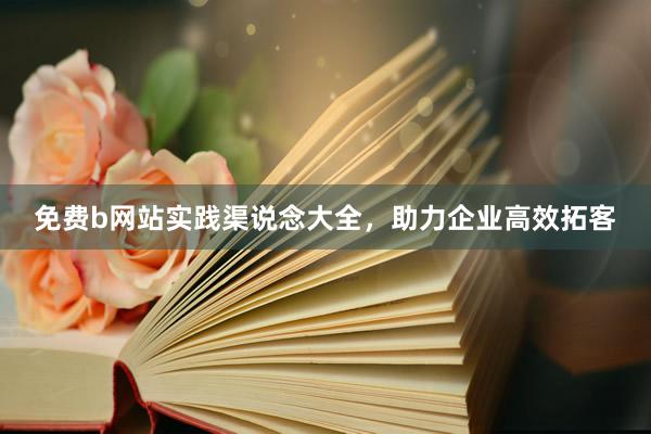 免费b网站实践渠说念大全，助力企业高效拓客