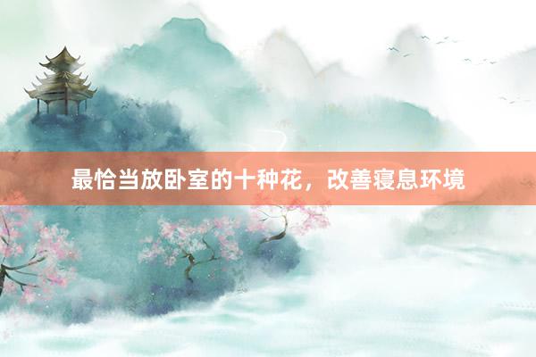 最恰当放卧室的十种花，改善寝息环境