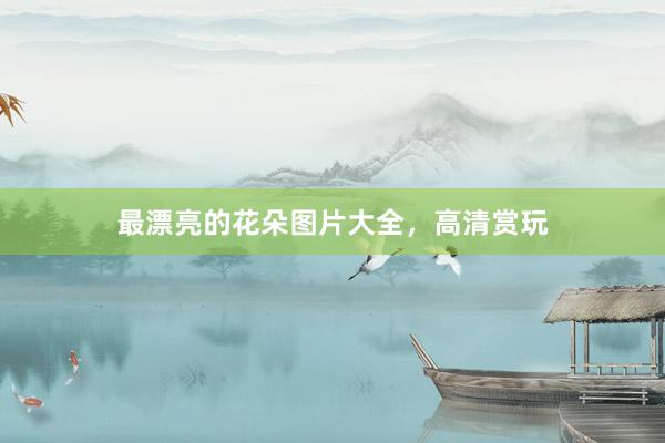 最漂亮的花朵图片大全，高清赏玩