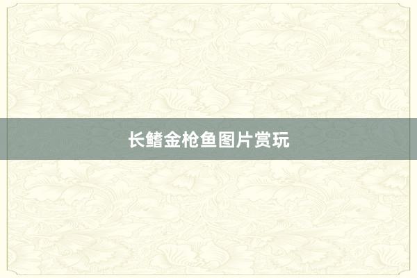 长鳍金枪鱼图片赏玩